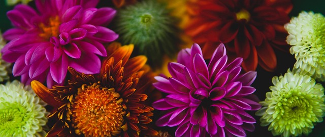 掘金替补得 掘金替补得