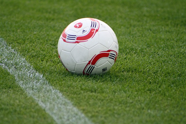 的全面表現 的全面表現