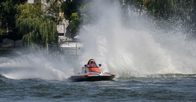 双重文化背 双重文化背