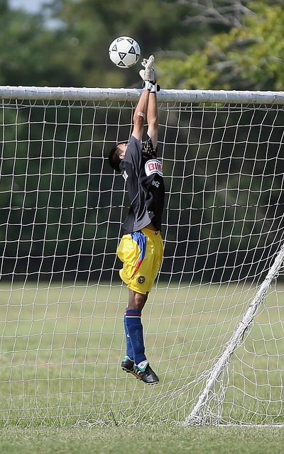 的中后卫储 的中后卫储