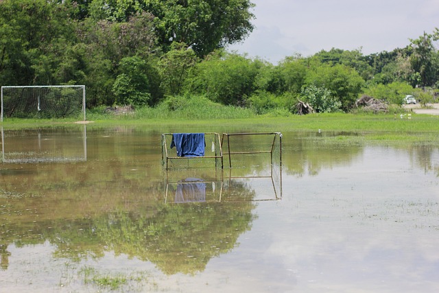 团队协作能 团队协作能