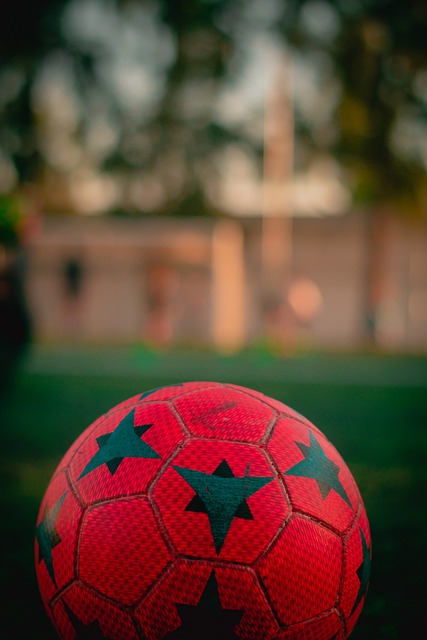 土之上的一 土之上的一