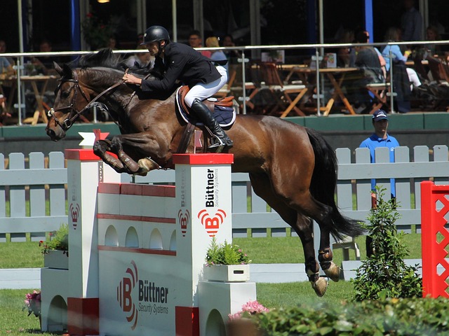 的经济效益 的经济效益