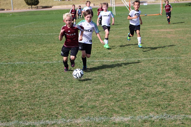 国米的信心 国米的信心