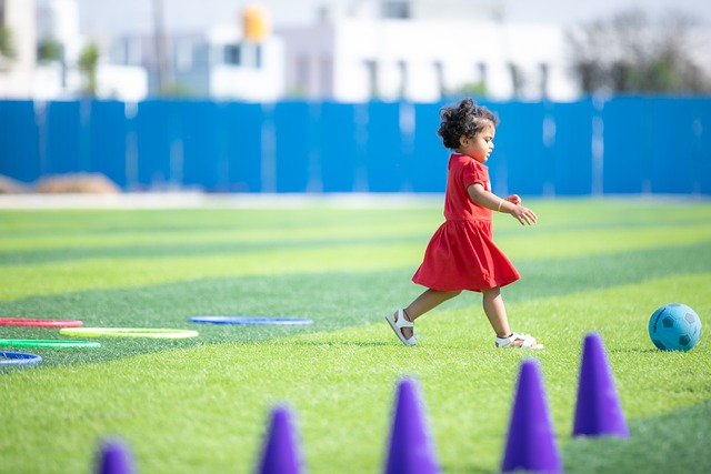 但他的能力 但他的能力