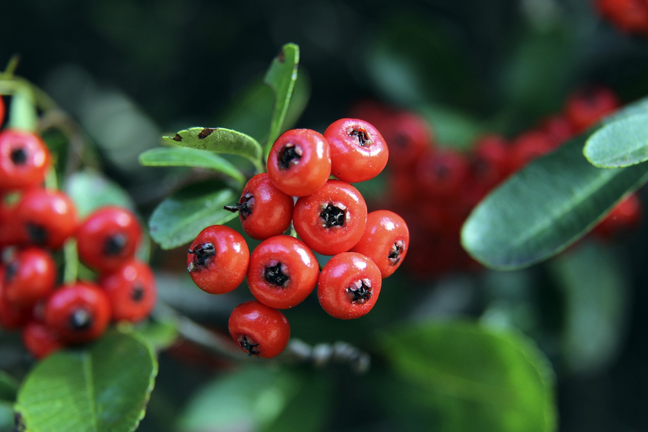 球员和球队 球员和球队