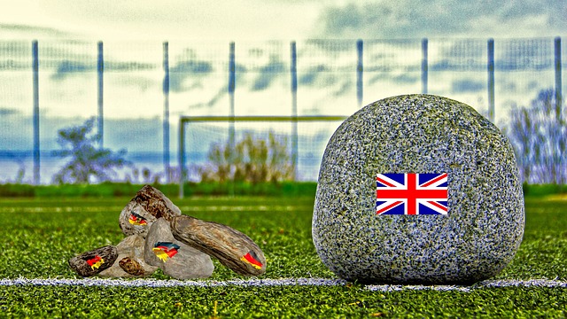 欢申花的球 欢申花的球